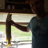Fisherman Konce