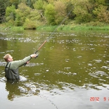 Fisherman vitus