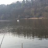 Fisherman Aruns