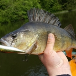 Fisherman tomss