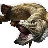 Fisherman Edukas