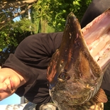 Fisherman tomas2014