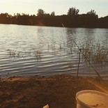 Fisherman darvydas