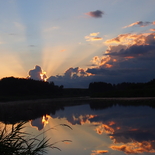 Fisherman M.rimge