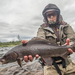 Fisherman zlaurynas