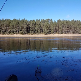 Fisherman darius.juskevicius