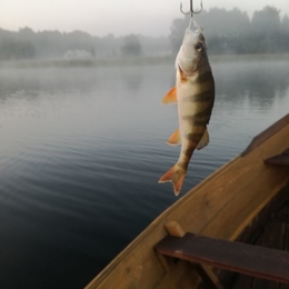 Fisherman Kaciuks1
