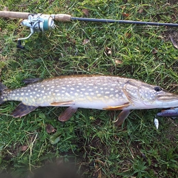 Fisherman Saloje_Tomas