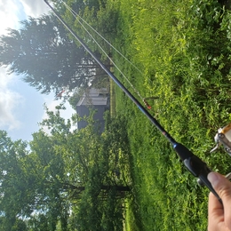 Fisherman wilhelm