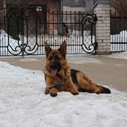 Fisherman danieliukas