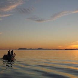 Fisherman TomasI