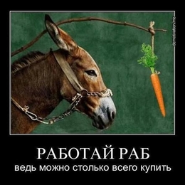 Fisherman AleksandrP