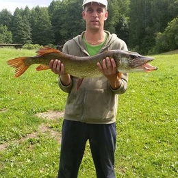 Fisherman sernas33