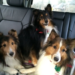 Fisherman dmeyer1956