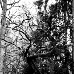 Fisherman eduard.shv