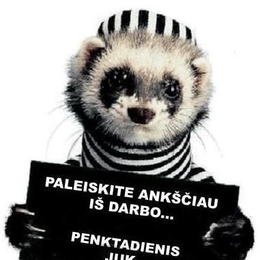 Fisherman edgaras.asas