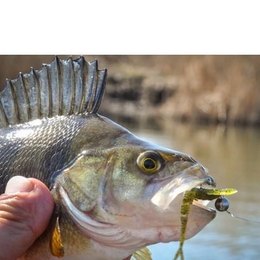 Fisherman ramunas.bielys