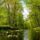 faustas13