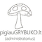 Grybukas (Pigiau Grybuko)