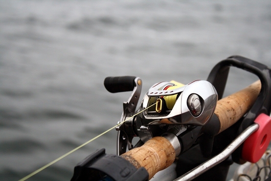 Baitcasting Or Spinning Reel?