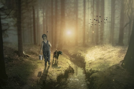 Fishing With Your Dog