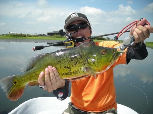 When Is The Best Time To Fish For Bass?
