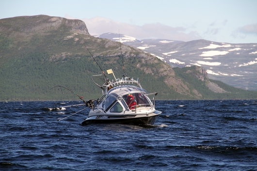 Best Walleye Trolling Rod & Jigging Rod