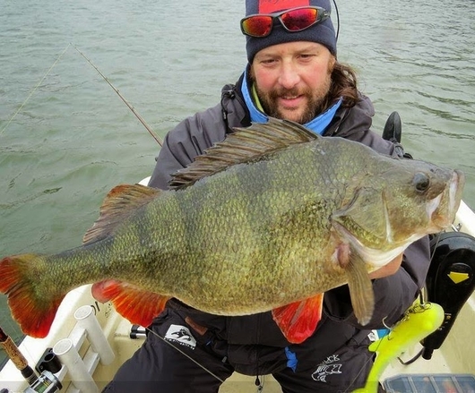 Perch Fishing Tips And How To Catch Them
